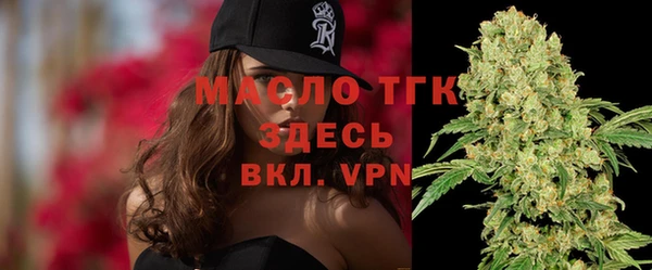 молекула духа Гусиноозёрск