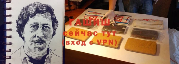apvp Гусев