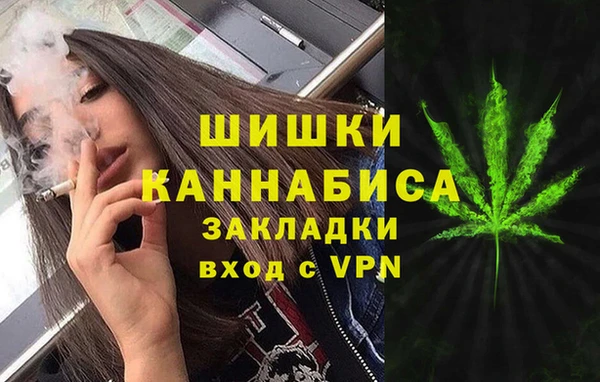 apvp Гусев