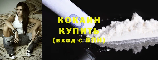 apvp Гусев