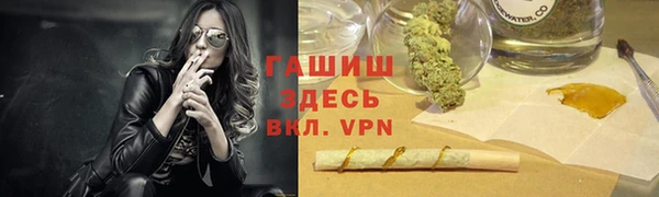 apvp Гусев