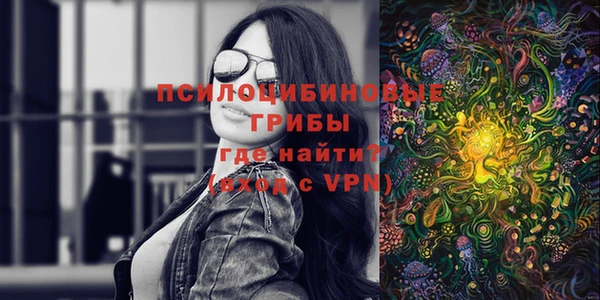 apvp Гусев
