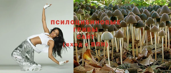 спиды Гусь-Хрустальный