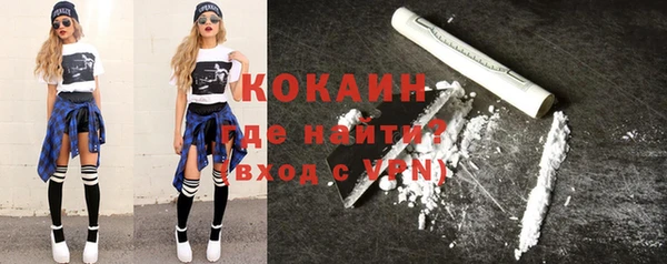 apvp Гусев