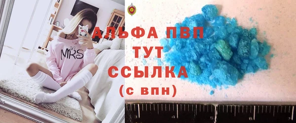 apvp Гусев