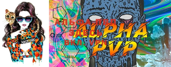 спиды Гусь-Хрустальный