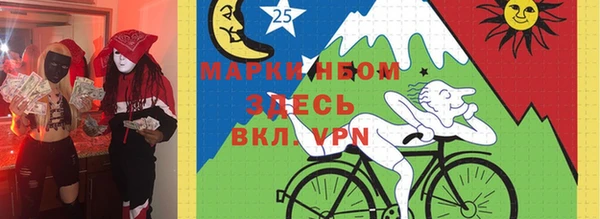 молекула духа Гусиноозёрск